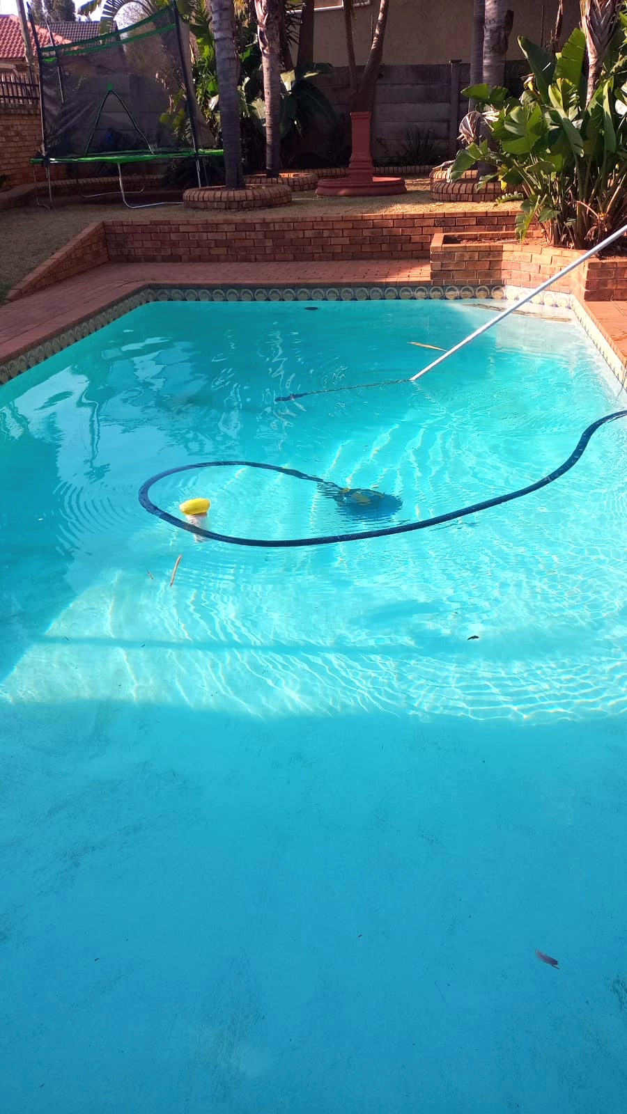 Pool Maintenance