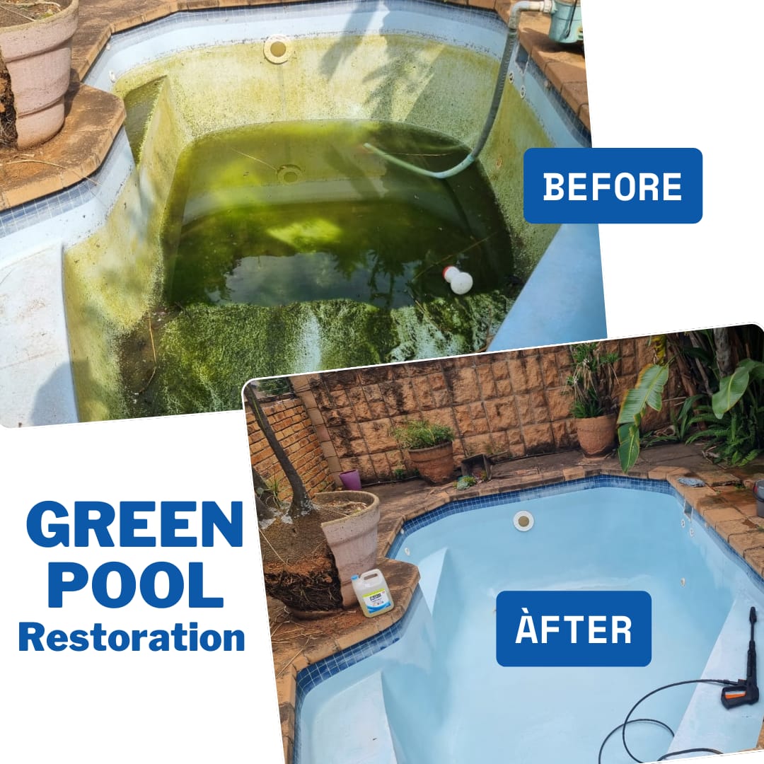 WhatsApp Image 2026 03 08 at 7.53.43 PM